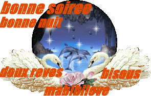 bonne soirée bonne nuit